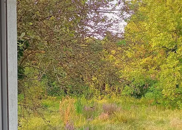 Maison 100m2 Au Coeur De Holiday home